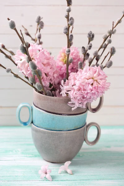 Hyacinths e flores de salgueiro — Fotografia de Stock