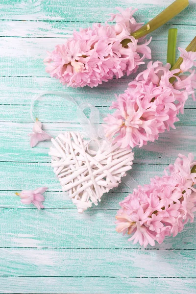 Herz und rosa Hyazinthen — Stockfoto