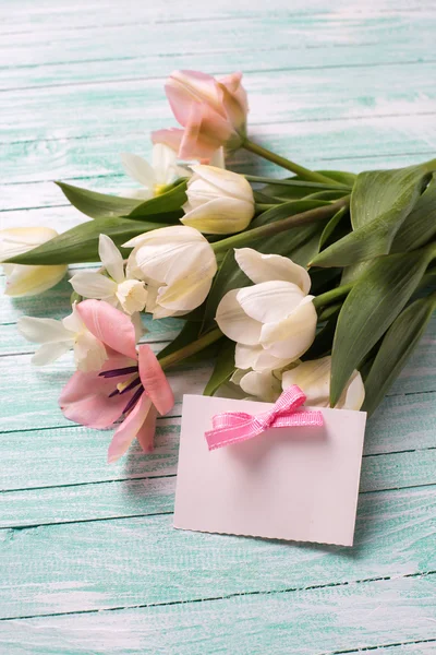 Pocztówka z różowe i białe tulipany — Zdjęcie stockowe