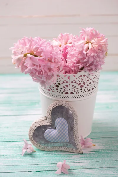 Verse roze hyacinten bloemen — Stockfoto