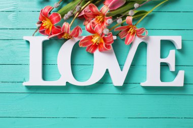 Bahar kırmızı laleler