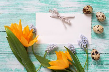 Taze bahar çiçekleri ve boş etiket