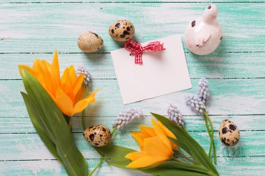 Taze bahar çiçekleri ve boş etiket