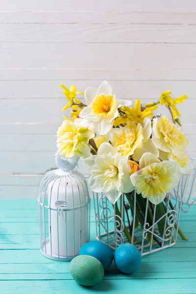 Bright yellow daffodils — Stock Photo, Image