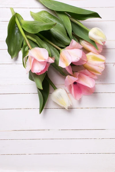 White tulips flowers — Stock Photo, Image