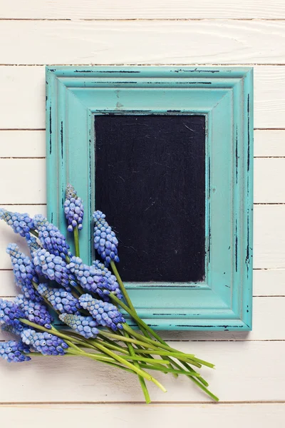 Flores de muscaries azul y pizarra vacía — Foto de Stock