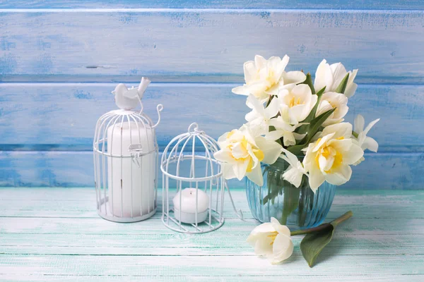 Jonquilles et tulipes blanches brillantes — Photo