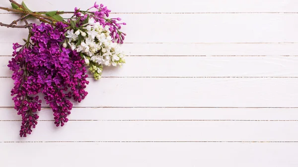 Vita och violetta lila blommor — Stockfoto