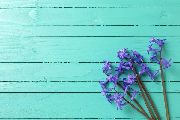 Фон с голубыми весенними цветами — стоковое фото
