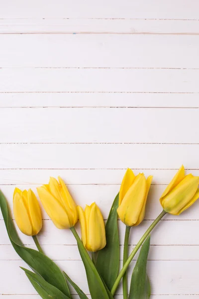 Gula tulpaner blommor — Stockfoto