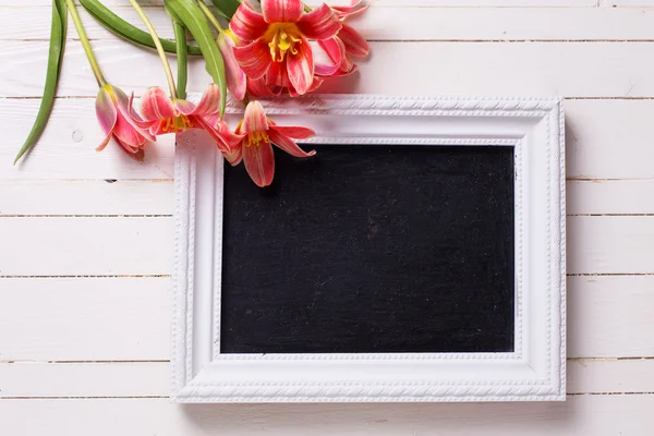 Red tulips and  empty blackboard — Stock Photo, Image