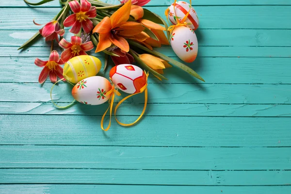 Flores de tulipas vermelhas — Fotografia de Stock