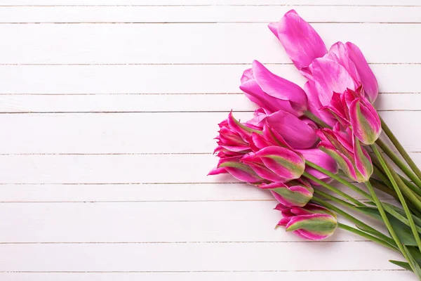 Spring pink tulips — Stock Photo, Image