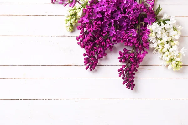 Flores lilás brancas e violetas — Fotografia de Stock