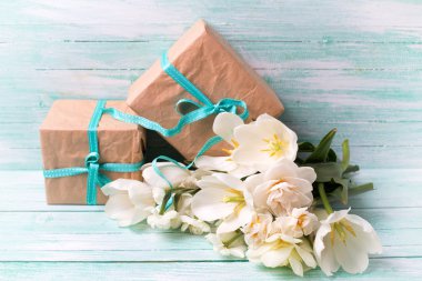 Festival mevcut kutuları