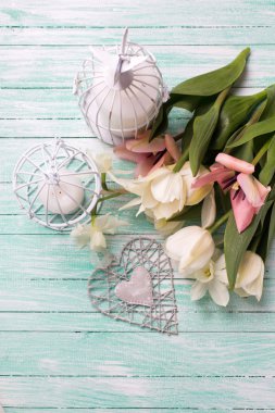 Mumlar Dekoratif Kuş kafesleri