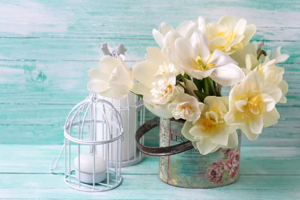 Яскраві Нарцис квіти — стокове фото