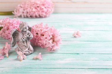 Taze sümbül ve melek