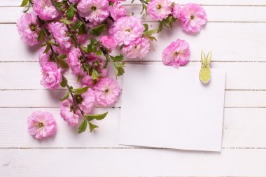 Pembe çiçekler ve boş etiket