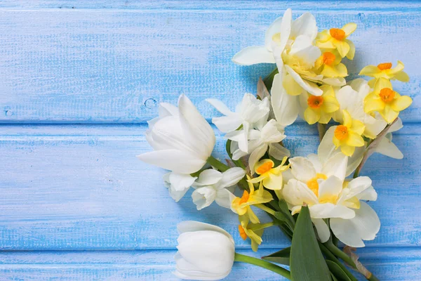 Fiori di narciso e tulipani — Foto Stock