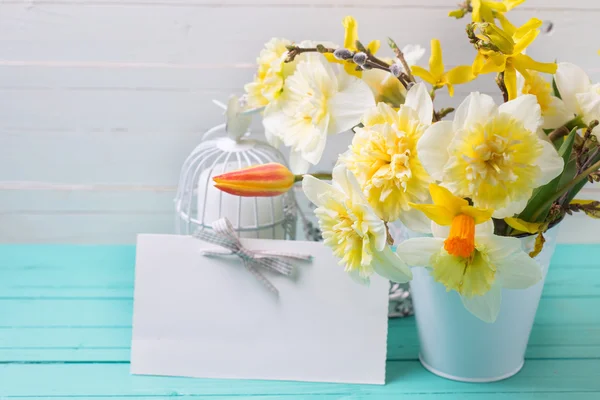 Narcisos amarillos, tulipanes — Foto de Stock