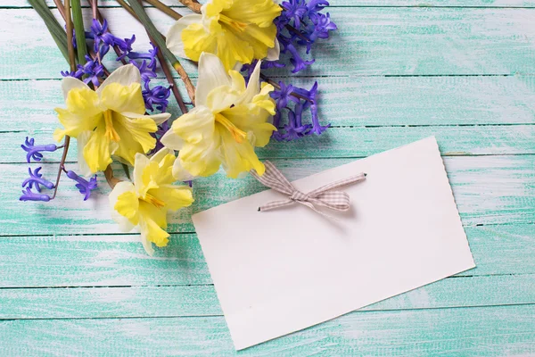 Heldere gele en blauwe Lentebloemen — Stockfoto