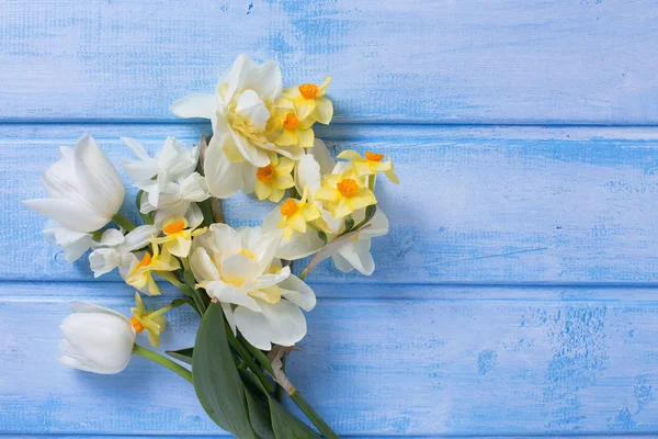 Narzissen und Tulpen blühen — Stockfoto