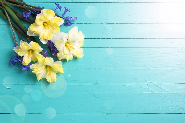 Background with bright colorful spring flowers — Stock Photo, Image