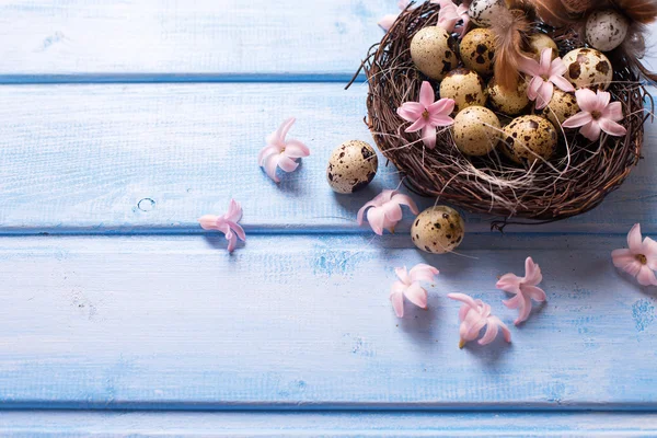 Paskalya yumurtaları yuvanın ve çiçekler — Stok fotoğraf