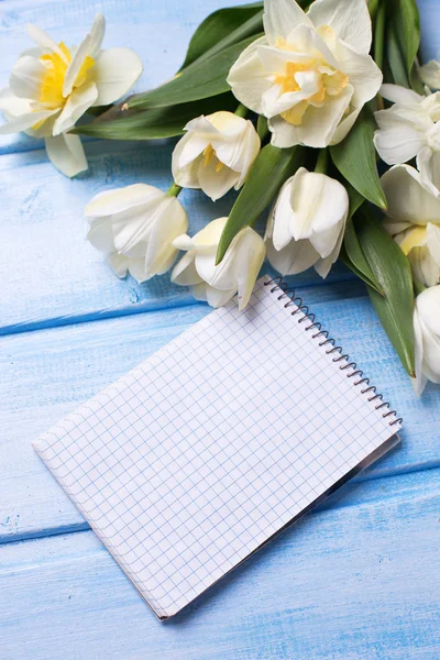Белые тюльпаны, нарциссы и пустая метка — стоковое фото