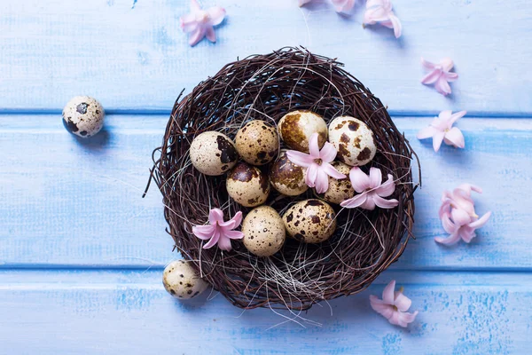 Easter eggs in nest and flowers — Stock Photo, Image