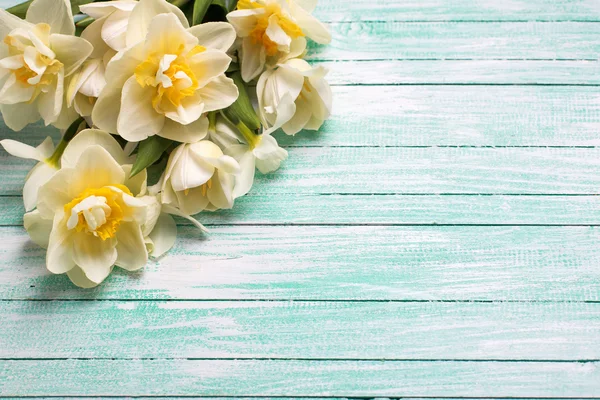 White daffodils on painted wooden plank — 图库照片