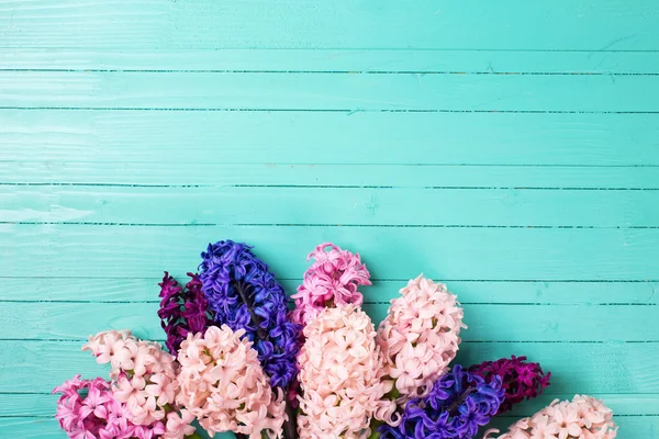 Bakgrund med färska hyacinter — Stockfoto