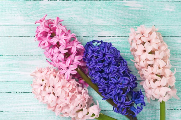 Fond avec des fleurs de jacinthe — Photo