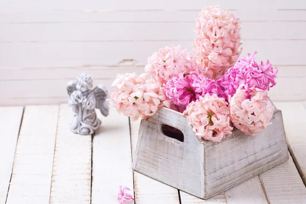 Fondo con jacintos rosados frescos en caja —  Fotos de Stock