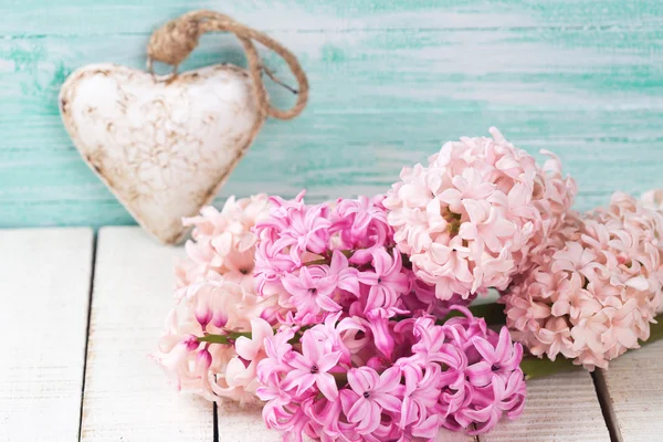 Färska hyacint blommor och dekorativa hjärta — Stockfoto