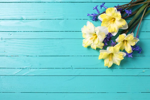 Bakgrund med gula och blå vårblommor — Stockfoto