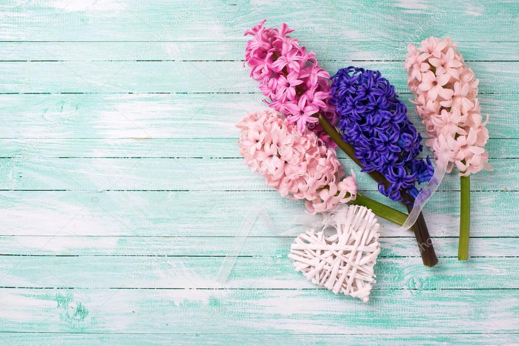 Hyacinths flowers on wooden background