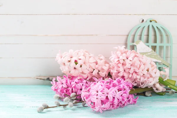 Background with fresh pink hyacinths and willow — Stock Photo, Image