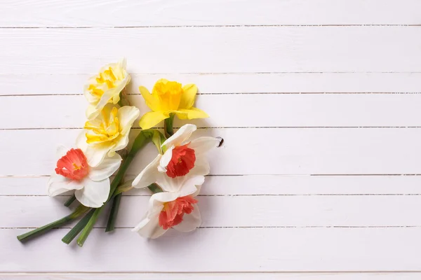 Yellow narcissus flowers on wooden background — ストック写真