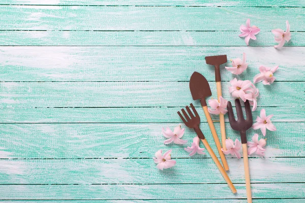 Garden tools and tender pink flowers — Stock Photo, Image