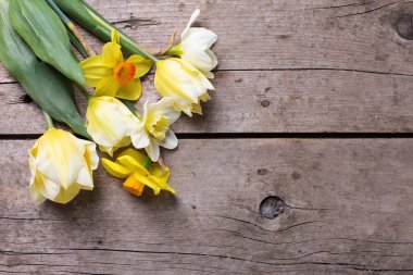 Sarı lale ler ve nergisler demet