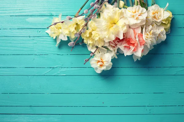 Yellow daffodils and willow flowers — Stok fotoğraf