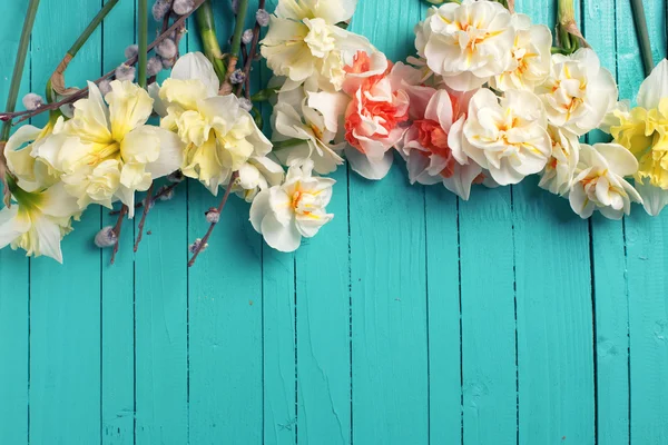 Gula påskliljor vårblommor — Stockfoto