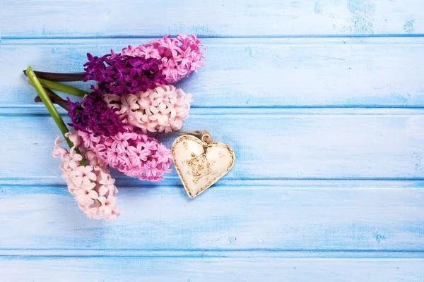 Fresh pink hyacinths and heart — Stok fotoğraf