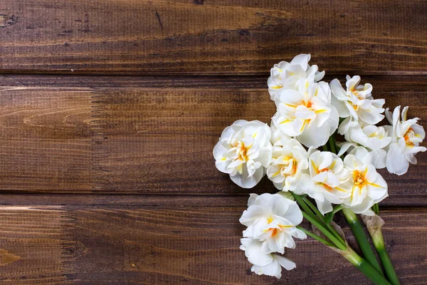 Vit påskliljor blommor — Stockfoto