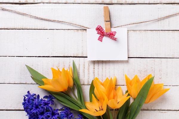 Lente gele tulpen en lege tag — Stockfoto