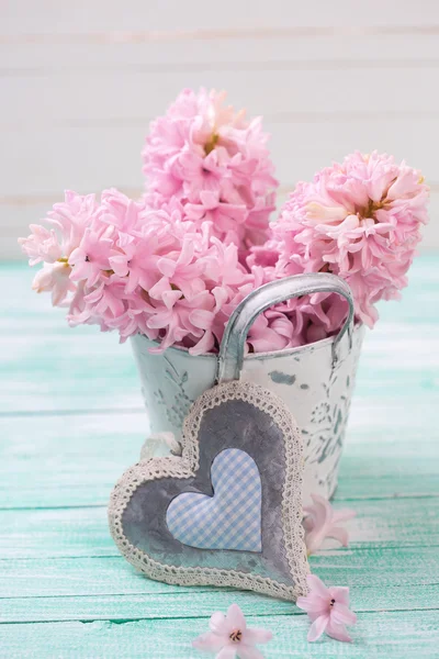 Rosa jacintos flores em balde — Fotografia de Stock