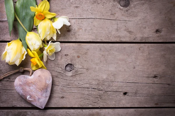 Tulipes jaunes fraîches et coeur décoratif — Photo