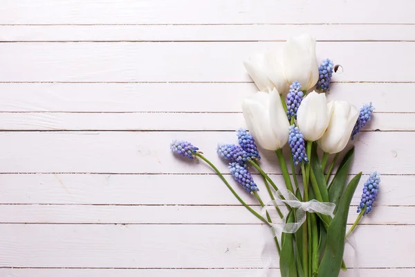 Čerstvé bílé tulipány a modrá muscaries — Stock fotografie